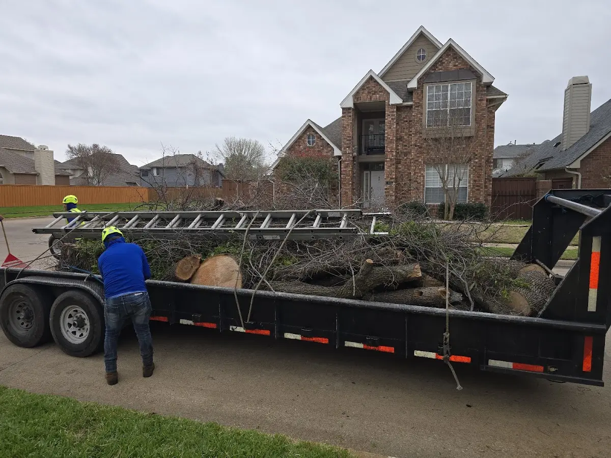 Expert Tree Fertilization with proper safety equipment in Battle Mountain